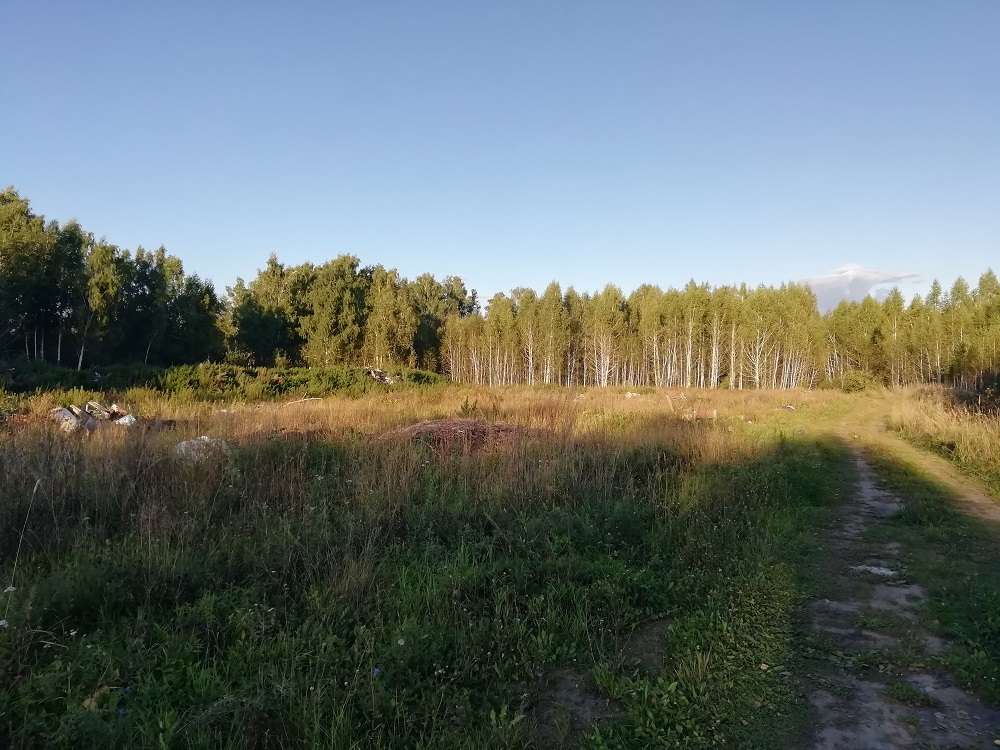 Свалка вблизи села Алабуга