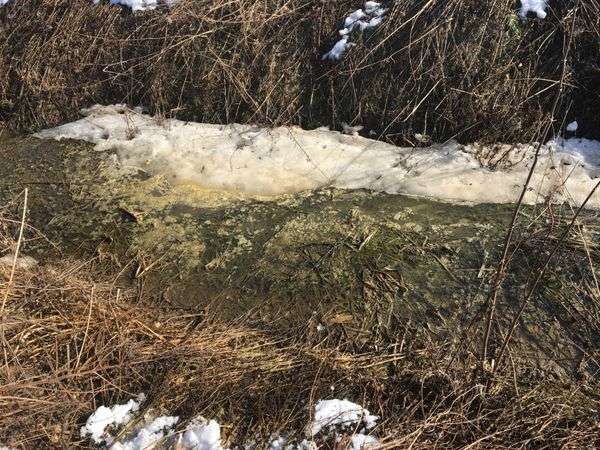 Слив навоза из лагун в Кайдаково