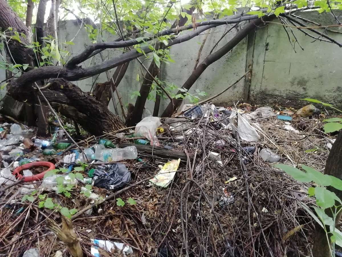 Свалка за забором с. Канашево