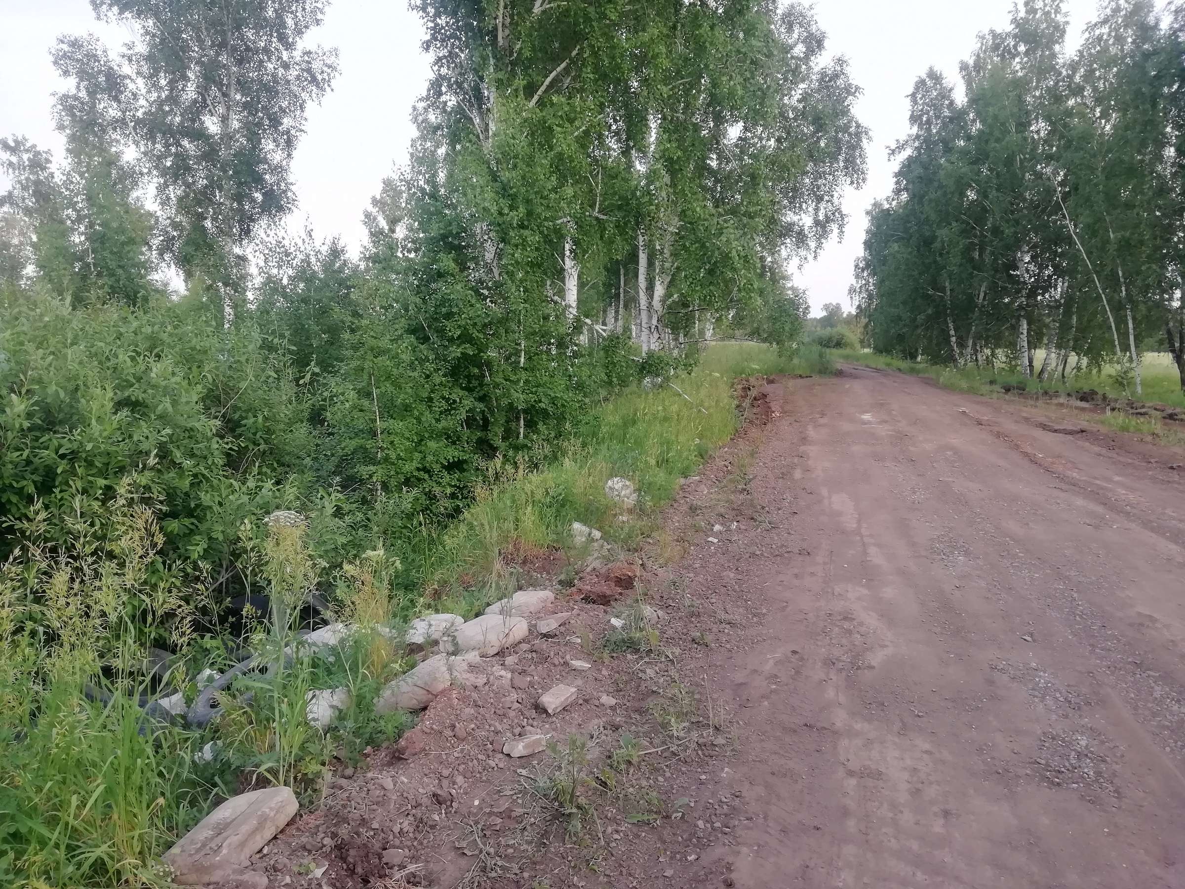 Свалка покрышек в лесу п. Лазурный