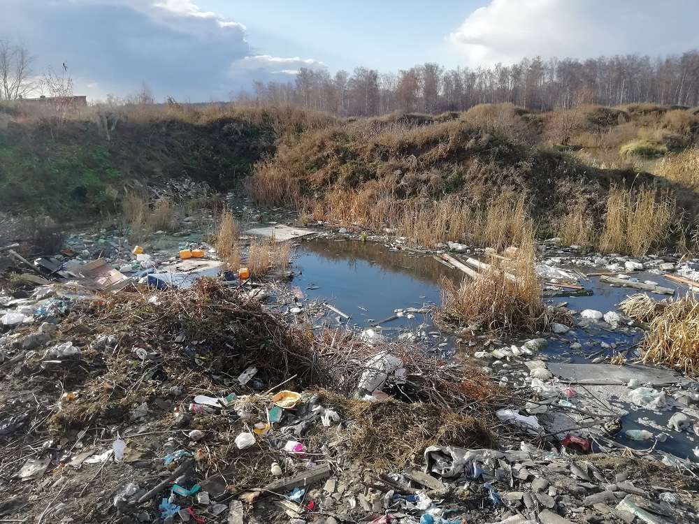 Свалка д. Пашнино 1-е