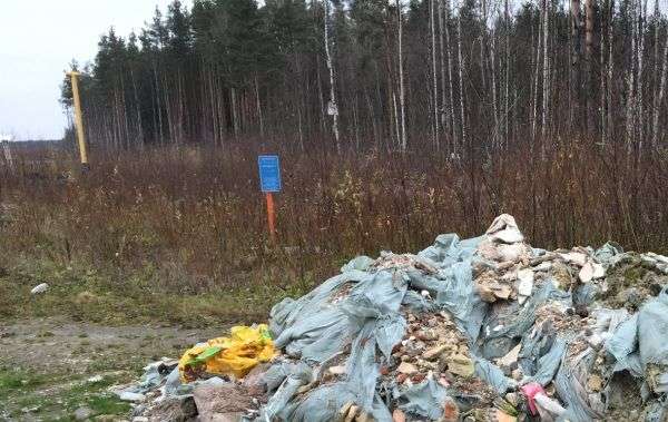 Свалка у Мурманского шоссе