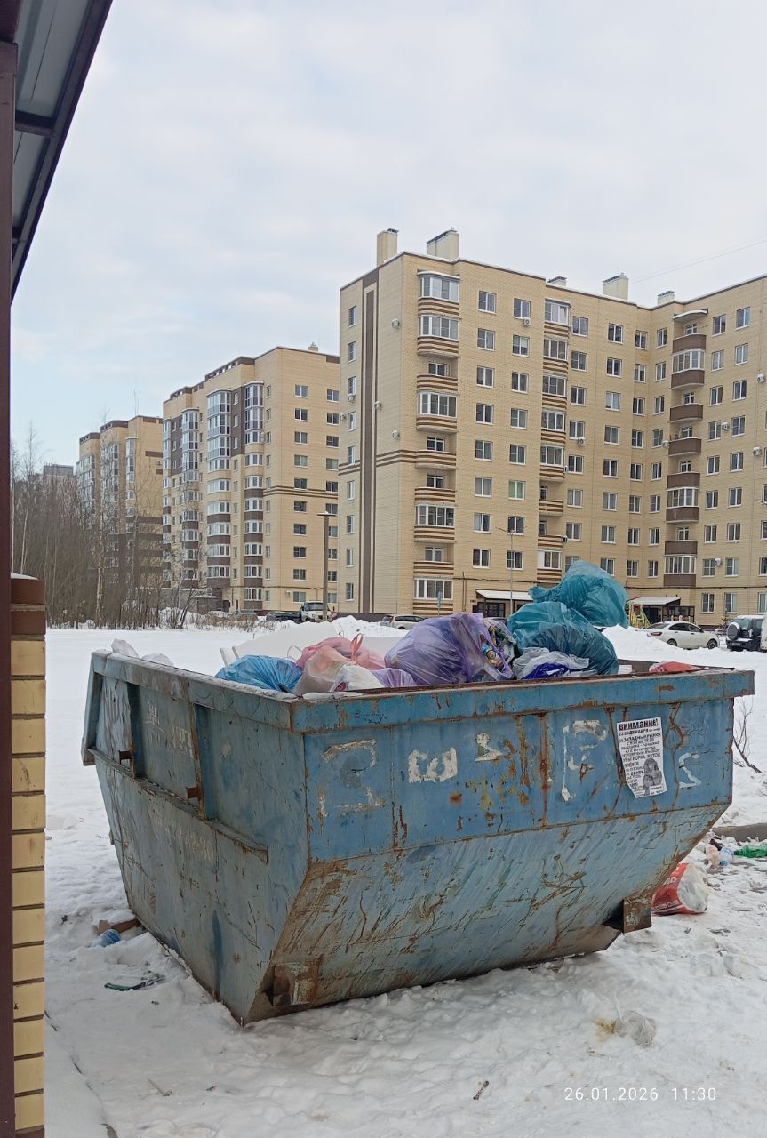 Свалка