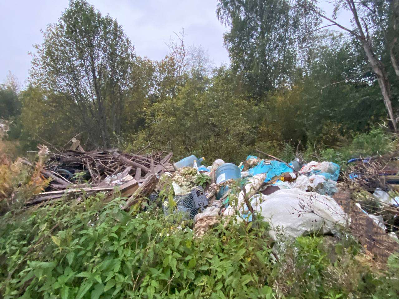 Свалка у Тарбаево