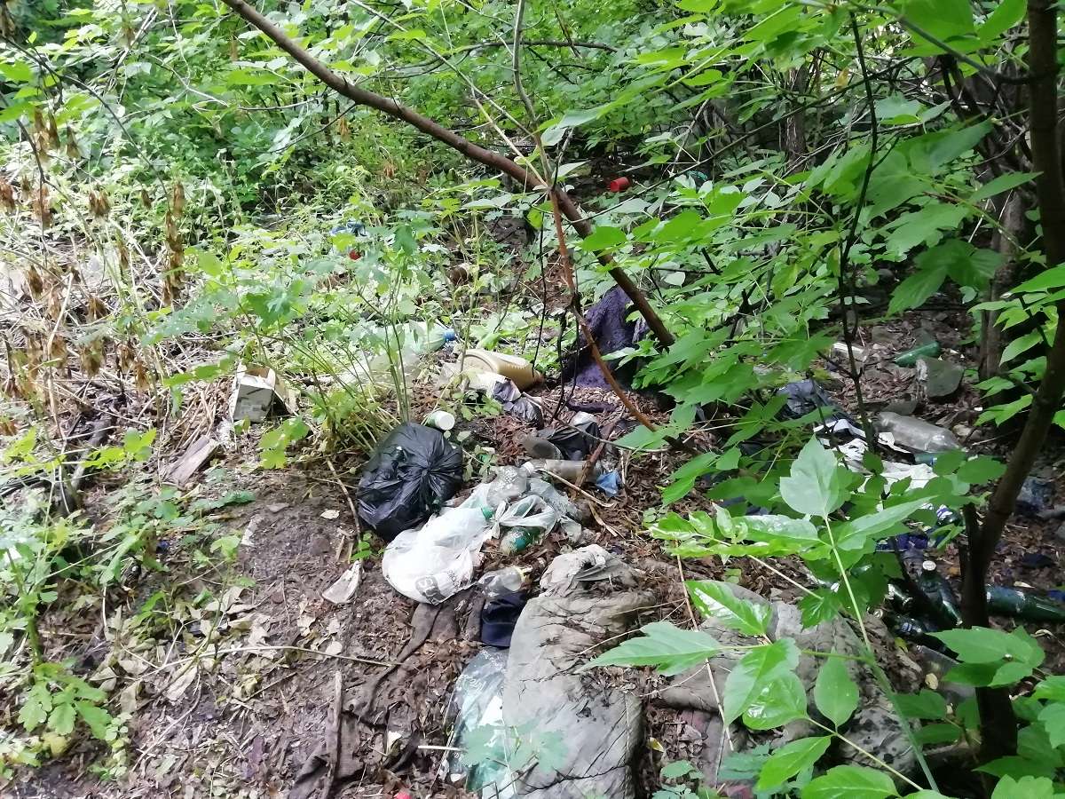 Свалка за забором с. Канашево