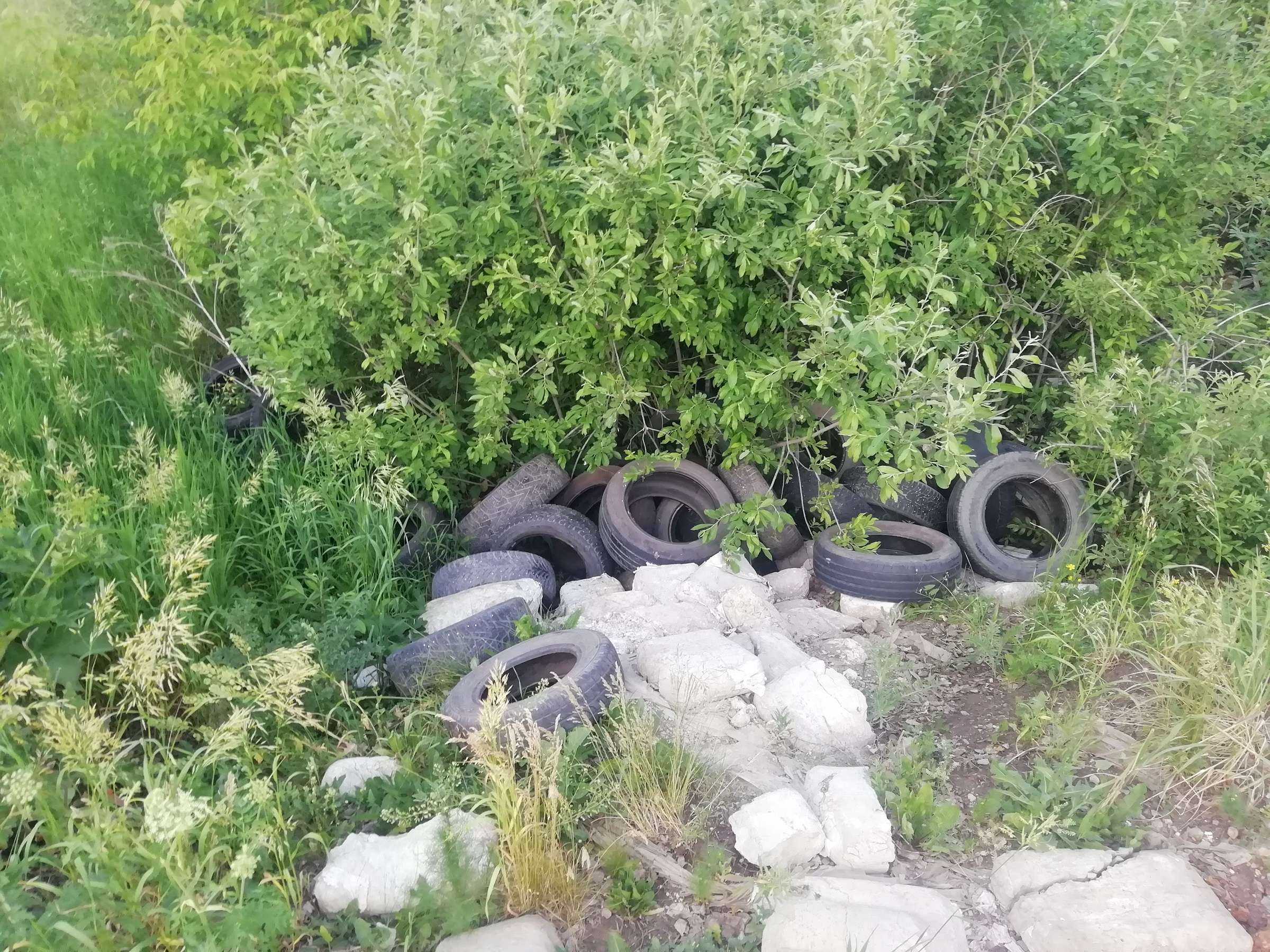 Свалка покрышек в лесу п. Лазурный