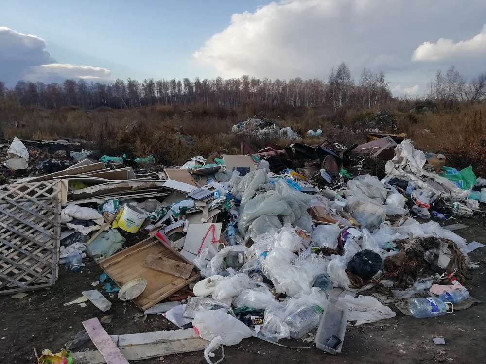 Свалка д. Пашнино 1-е