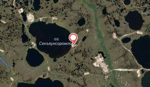 Нефтяная пленка у береговой линии озера