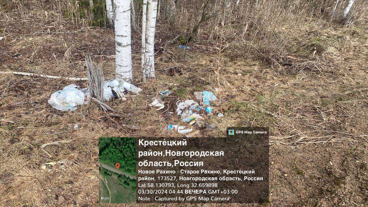 Свалка у Старого Рахино