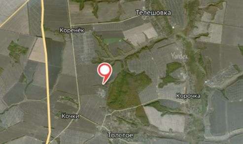 Разлив навоза у Толстого
