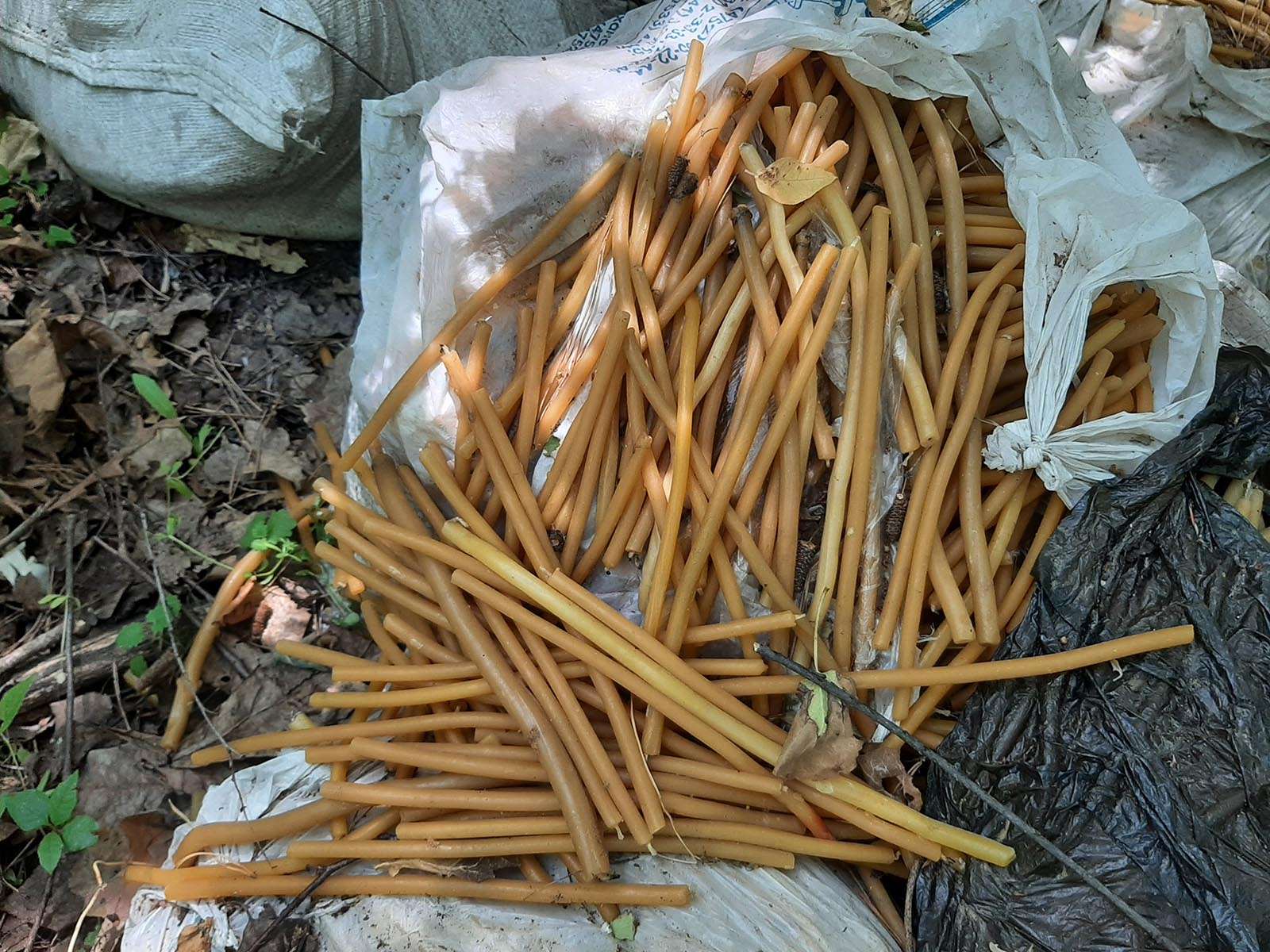 Свалка мусора в лесу