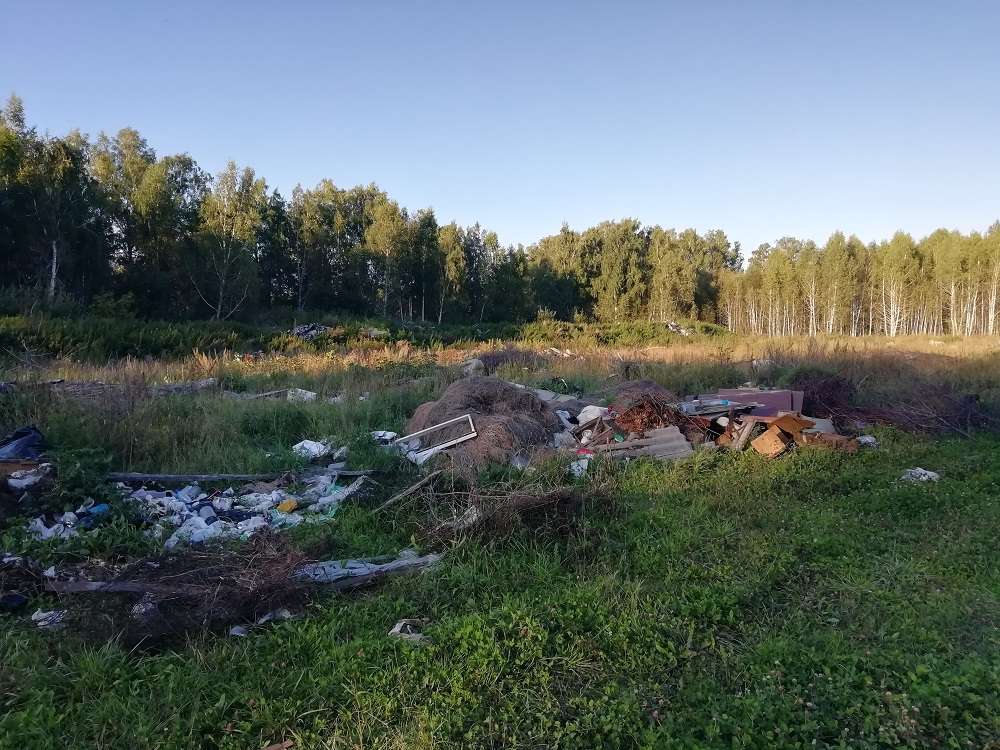 Свалка вблизи села Алабуга