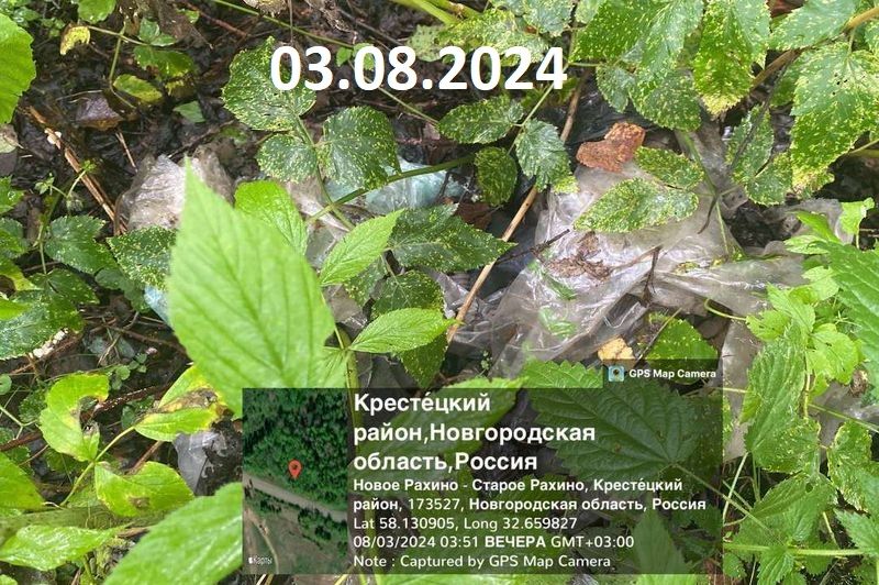 Свалка у Старого Рахино