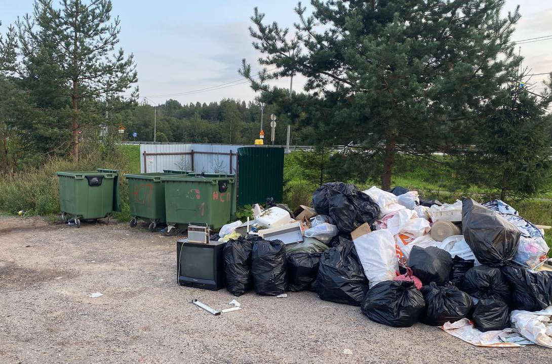 Свалка в Ярынье