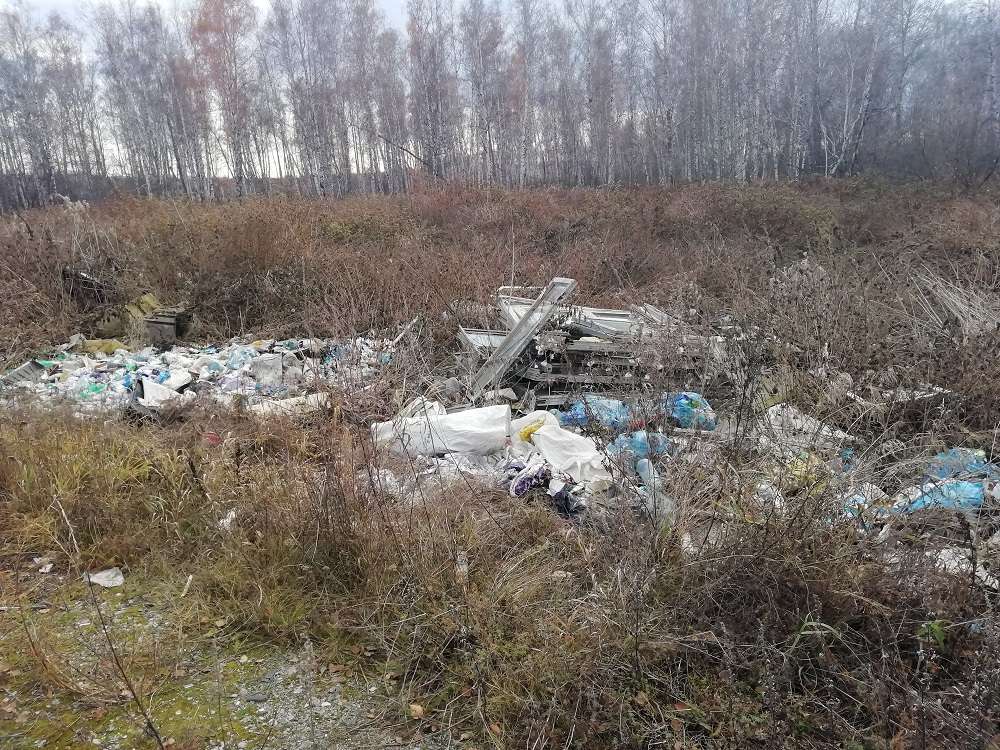 Свалка в лесу д. Пашнино 1-е