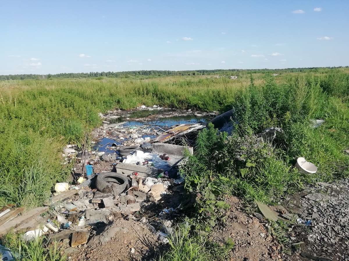 Свалка вблизи села Шумово.