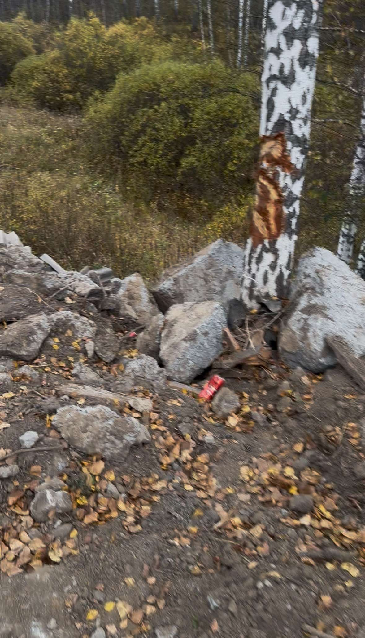 Незаконная свалка возле озера