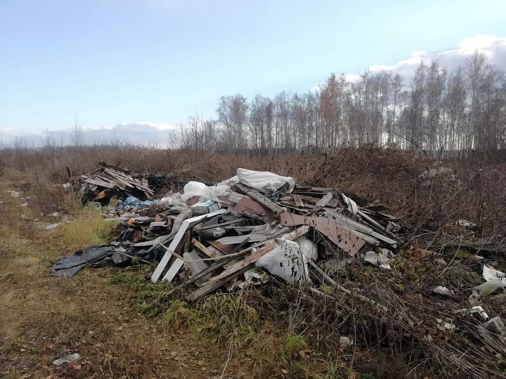 Свалка в лесу д. Пашнино 1-е