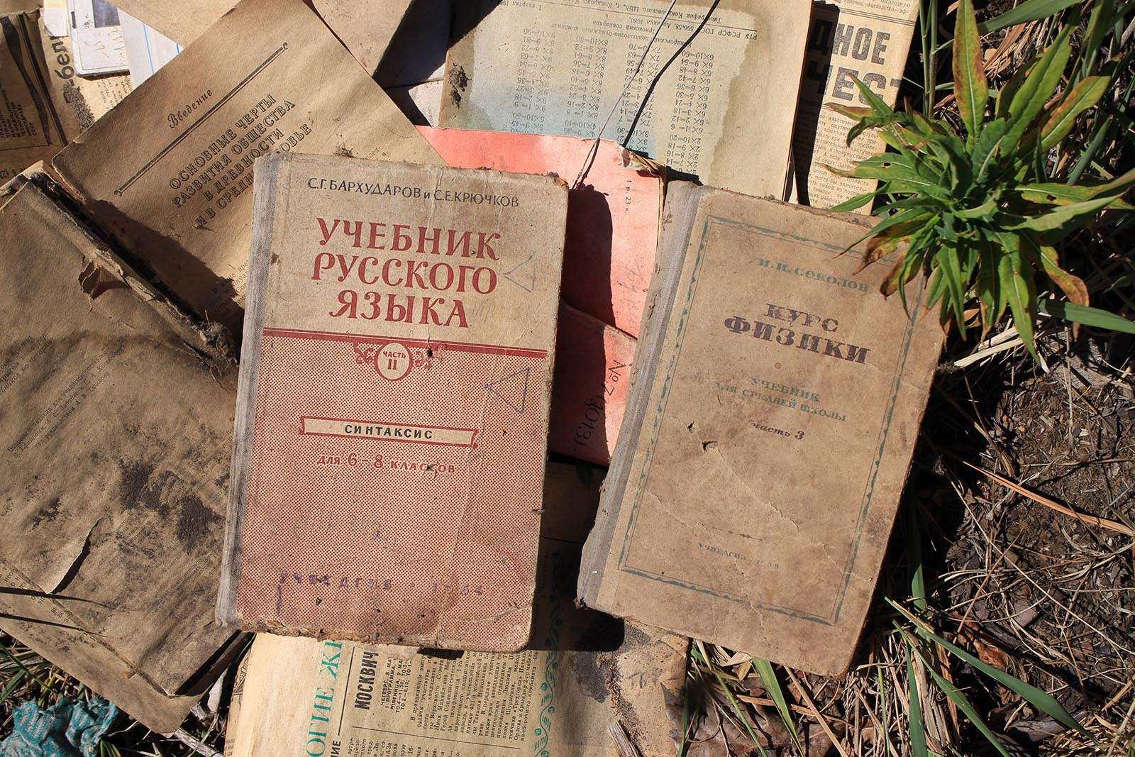Свалка мусора в лесу