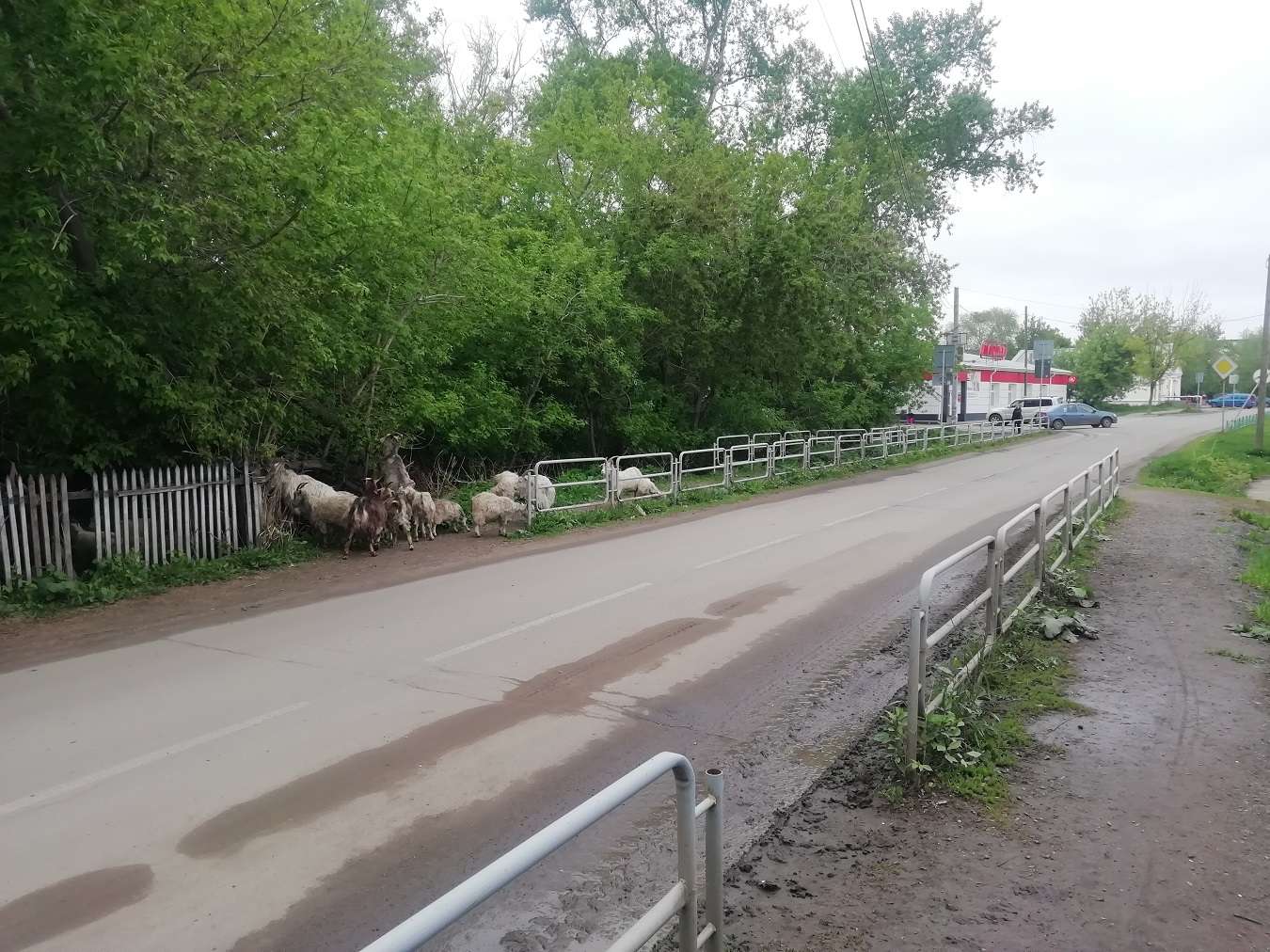 Свалка в овраге п.Лазурный