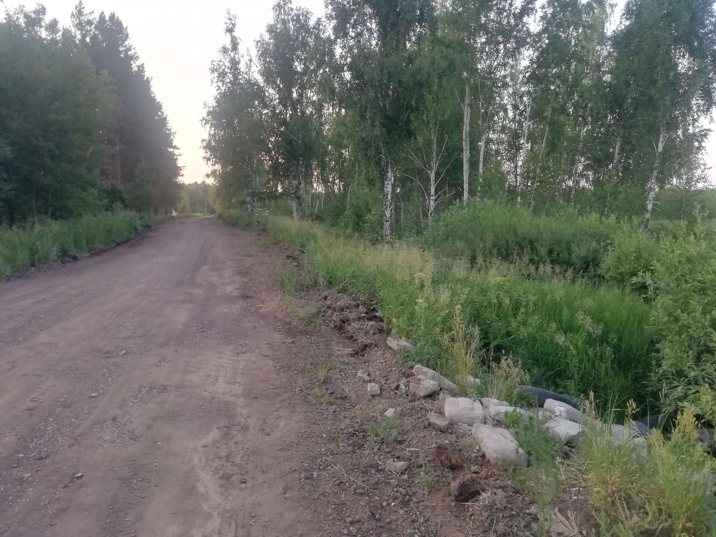 Свалка покрышек в лесу п. Лазурный