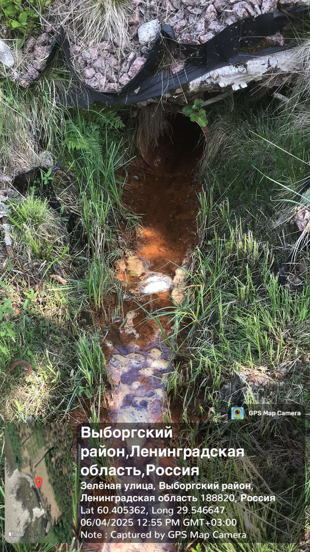 Слив нечистот в водный объект озеро Нахимовское, захват береговой линии с вырубкой деревьев.