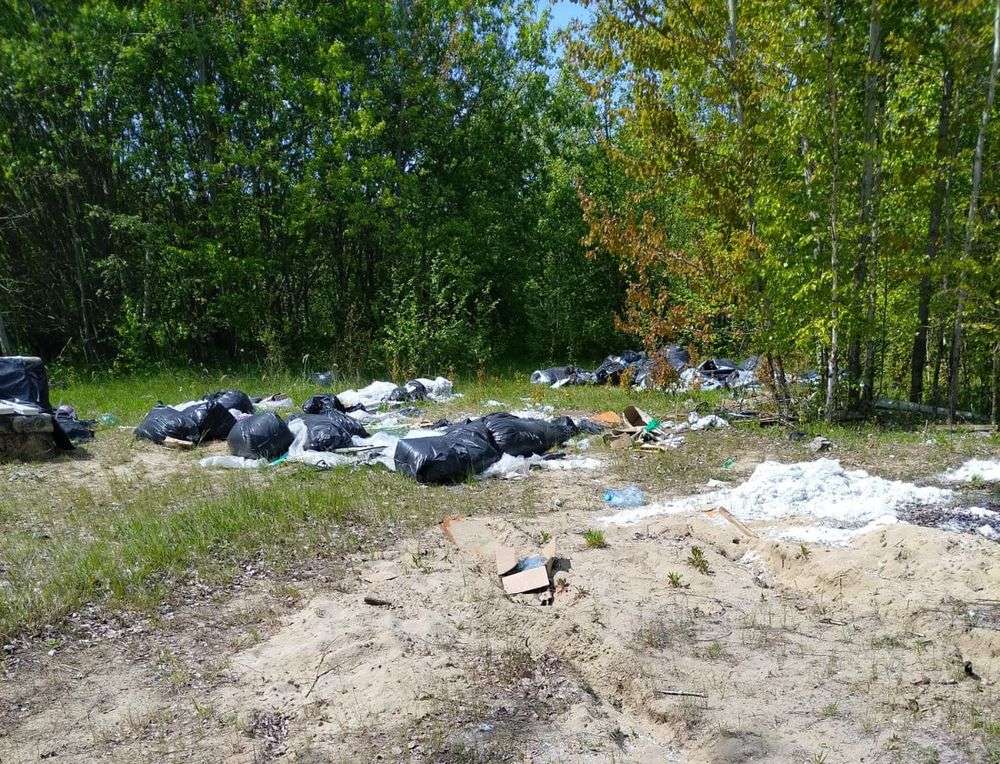 Свалка у Большедорожного