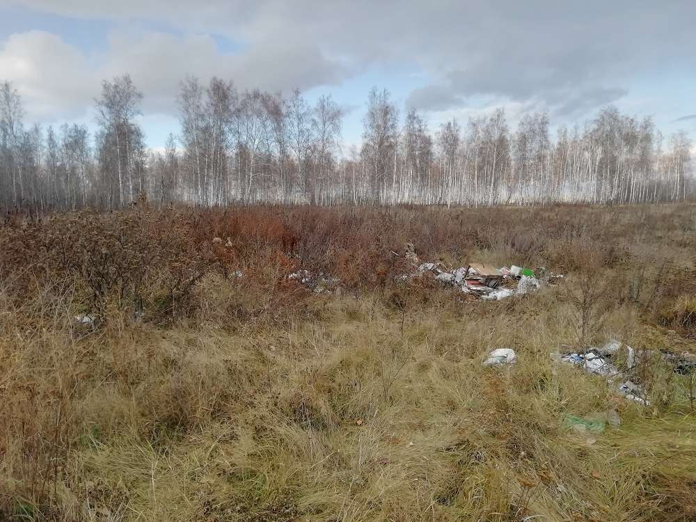 Свалка в лесу д. Пашнино 1-е
