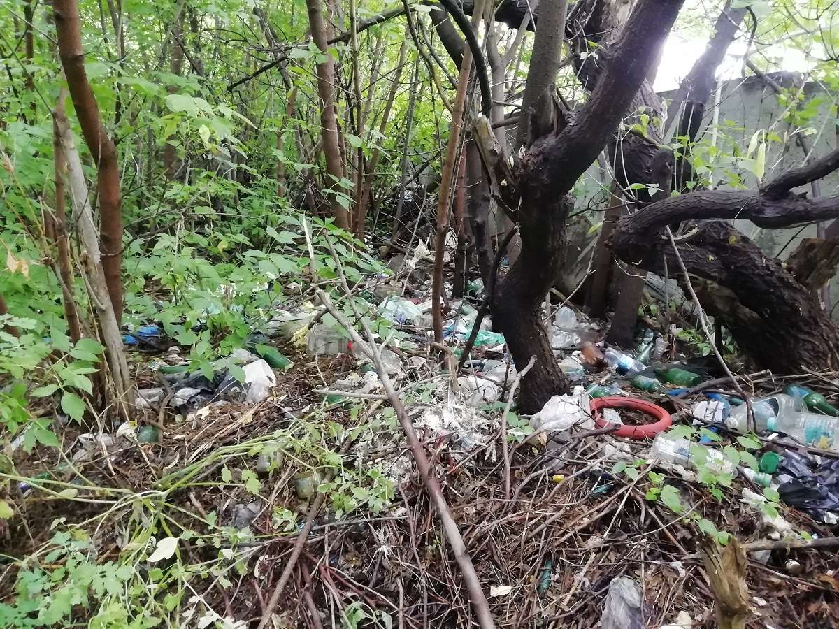 Свалка за забором с. Канашево