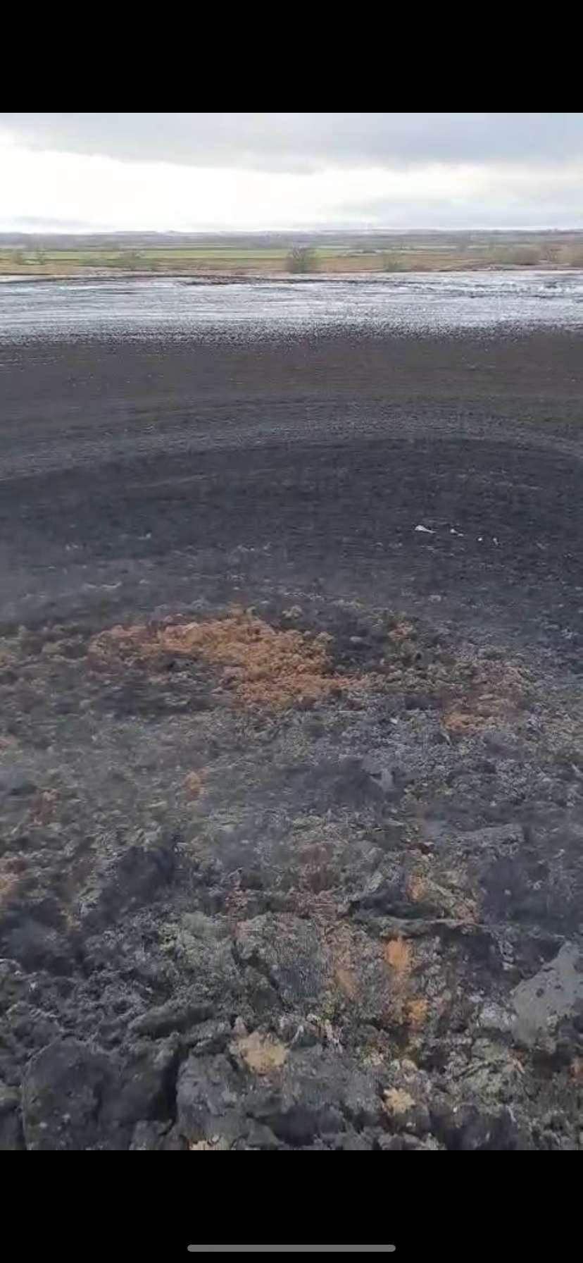 Незаконное захоронение отходов