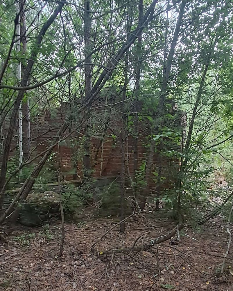 Мусор в лесу