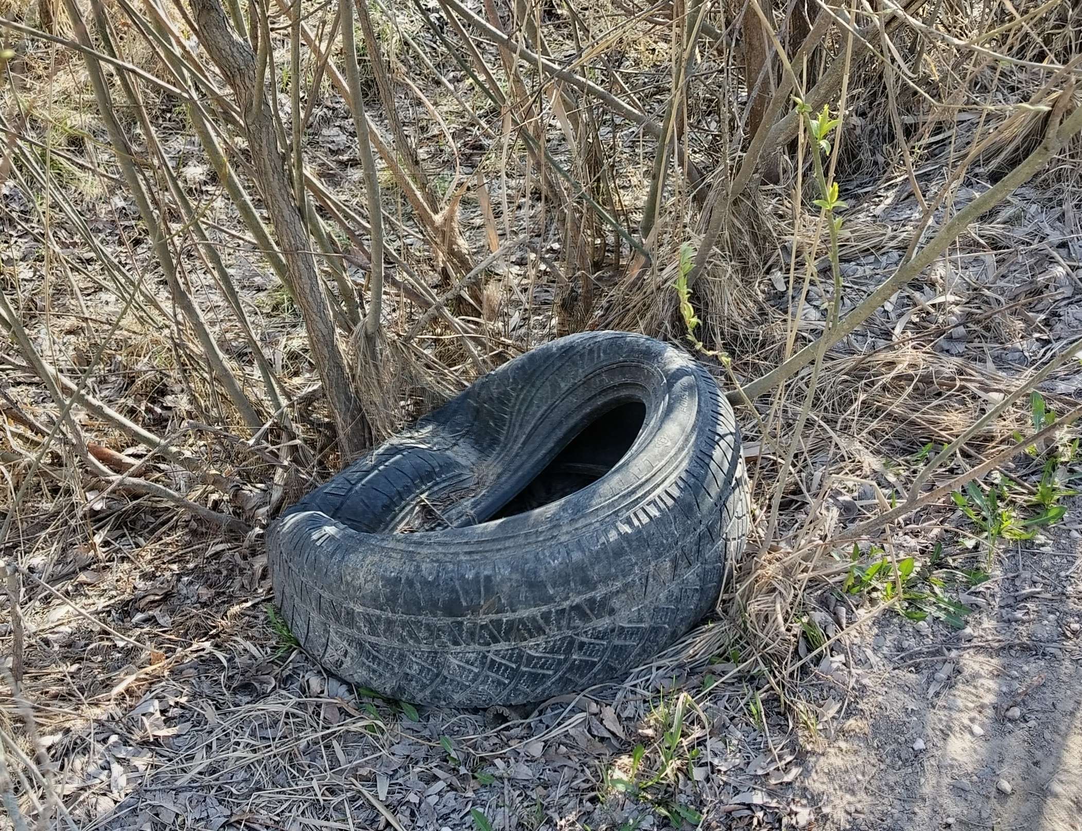 Автопокрышки по обочинам проезда