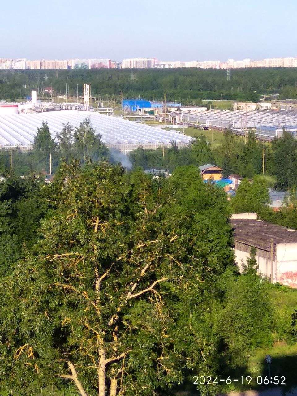 Место сжигания отходов производства в Колтушах