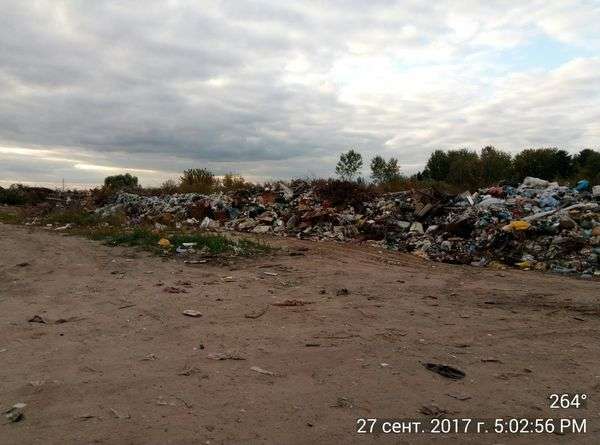 Свалка в Дмитровске
