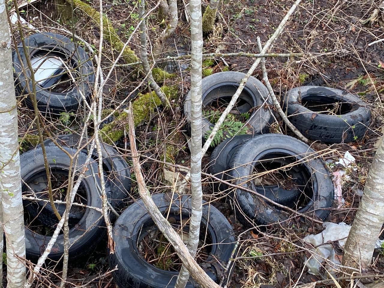 Свалка у Литвиново