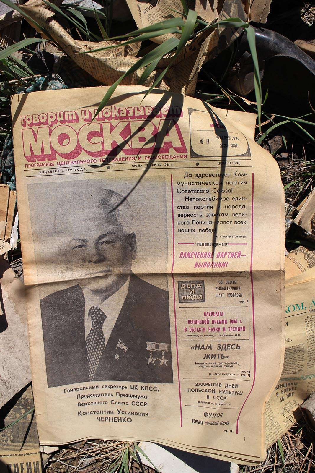 Свалка мусора в лесу