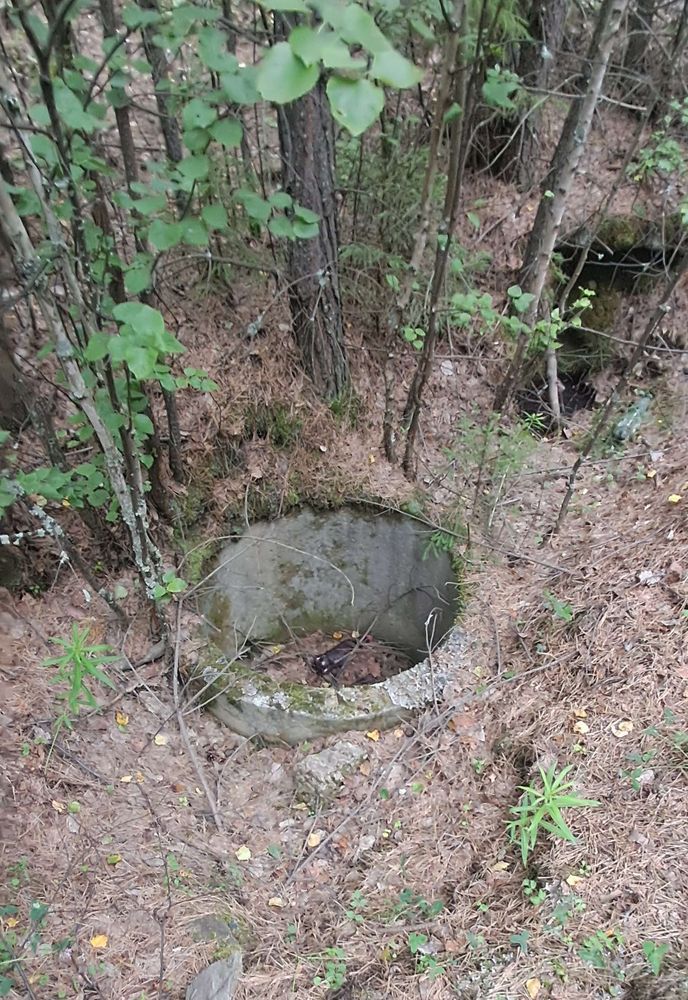 Мусор в лесу