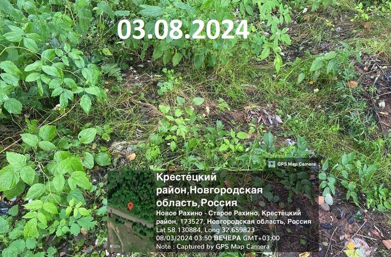 Свалка у Старого Рахино