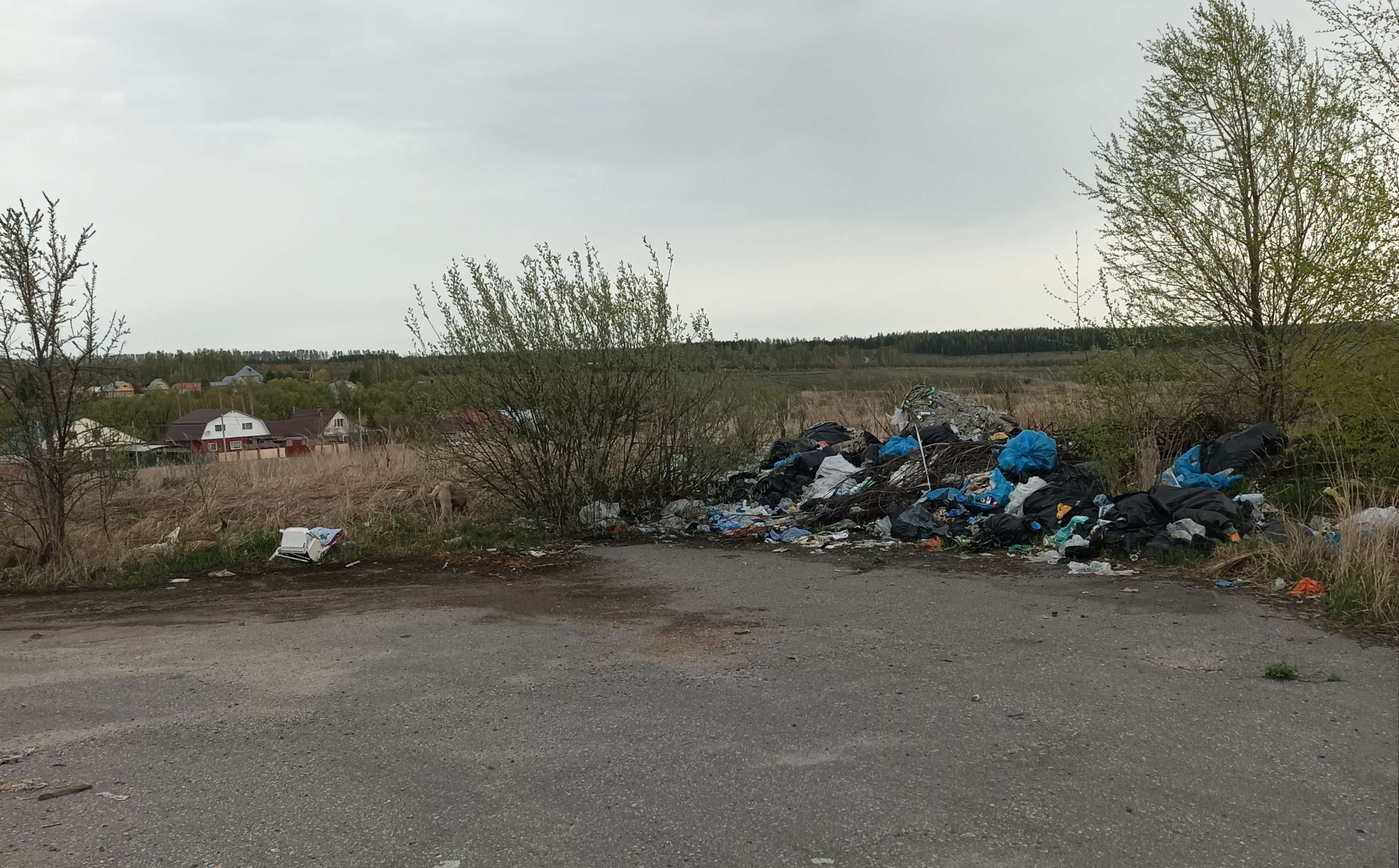 Стихийная свалка в с. Рамзай Пензенской области