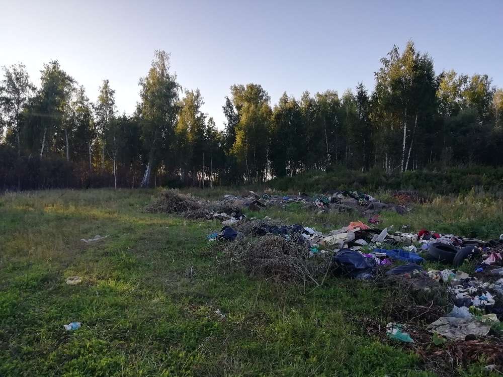 Свалка вблизи села Алабуга