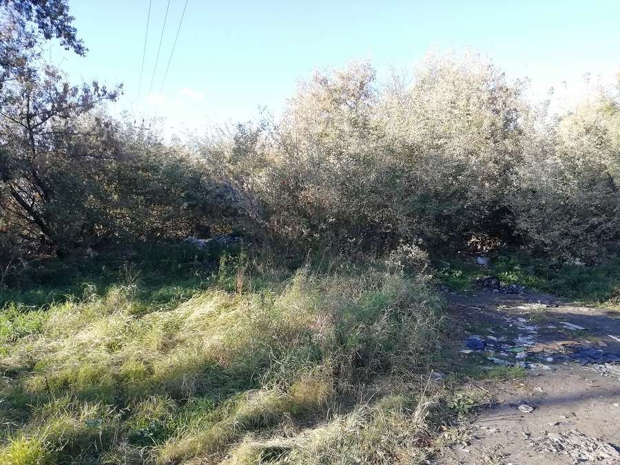 Свалки в поселке Слава