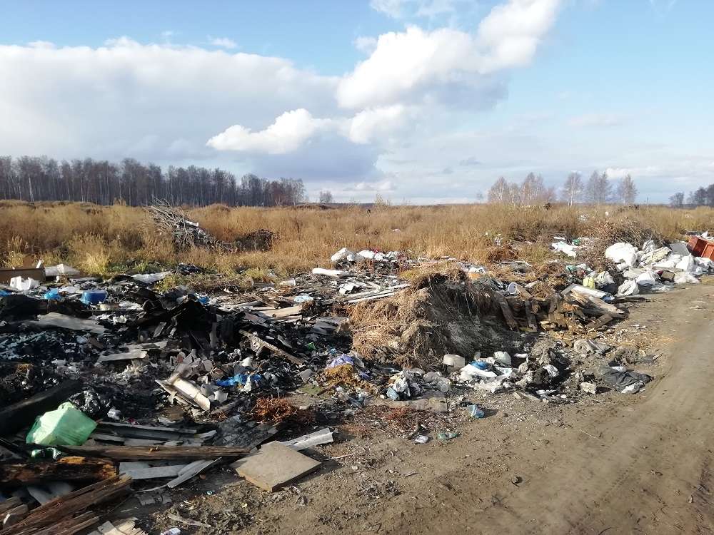 Свалка д. Пашнино 1-е