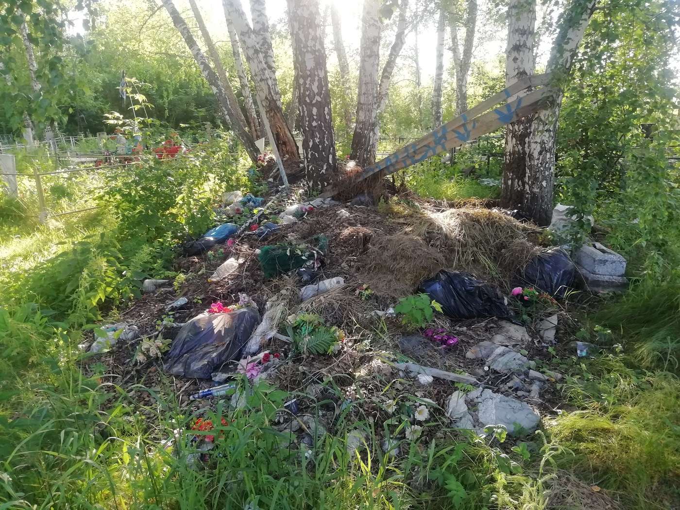 Свалка на кладбище с. Шумово