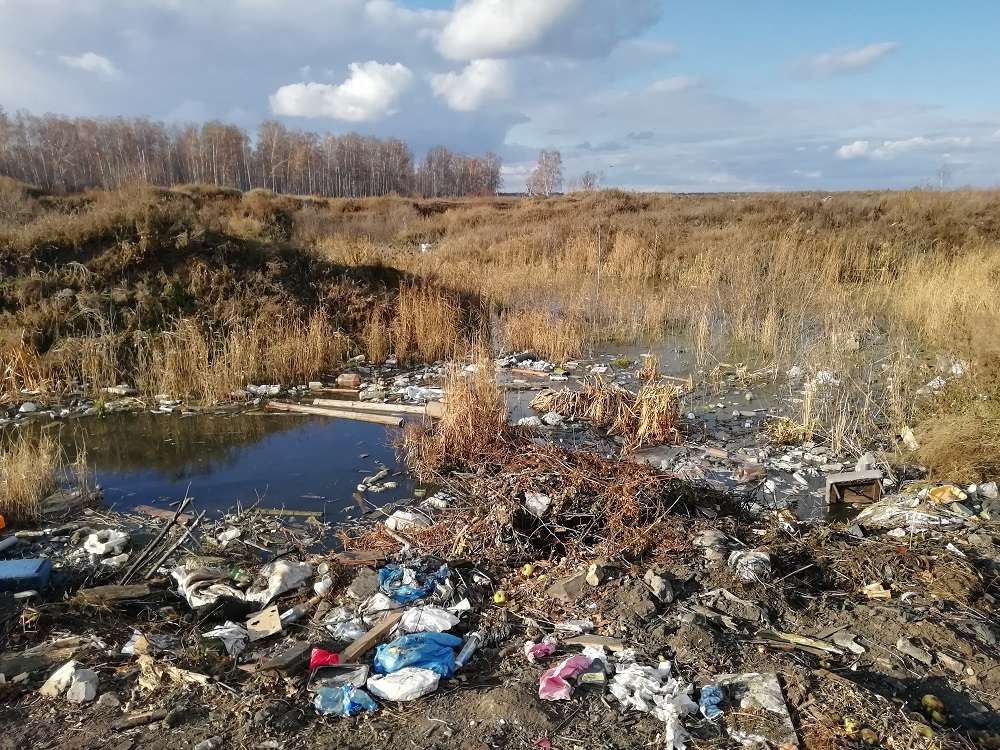 Свалка д. Пашнино 1-е
