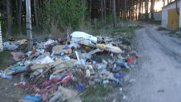 Свалка в Новых Дарковичах