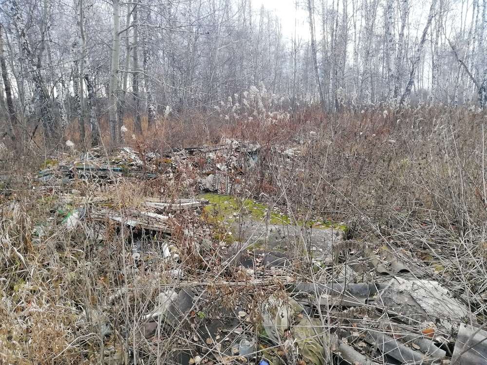 Свалка в лесу д. Пашнино 1-е