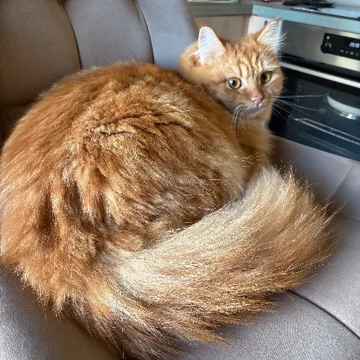 Аватар Lewsyn