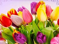 Картинки и Открытки с Днём Татьяны в 2022 году (Татьянин день 50+)