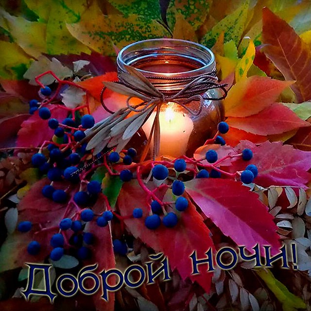 Картинки открытки с пожеланием спокойной ночи