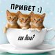 Привет